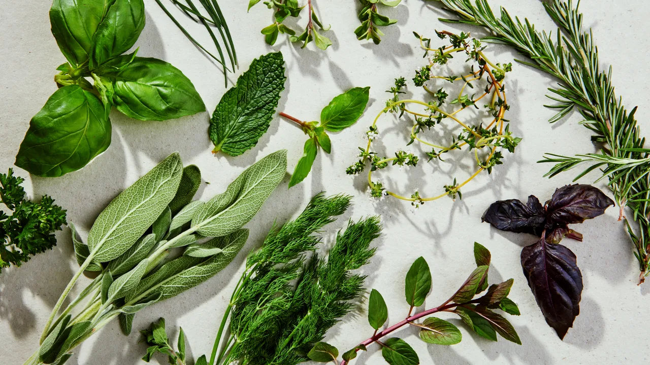 Wellness You Can Taste — The Alomei Way